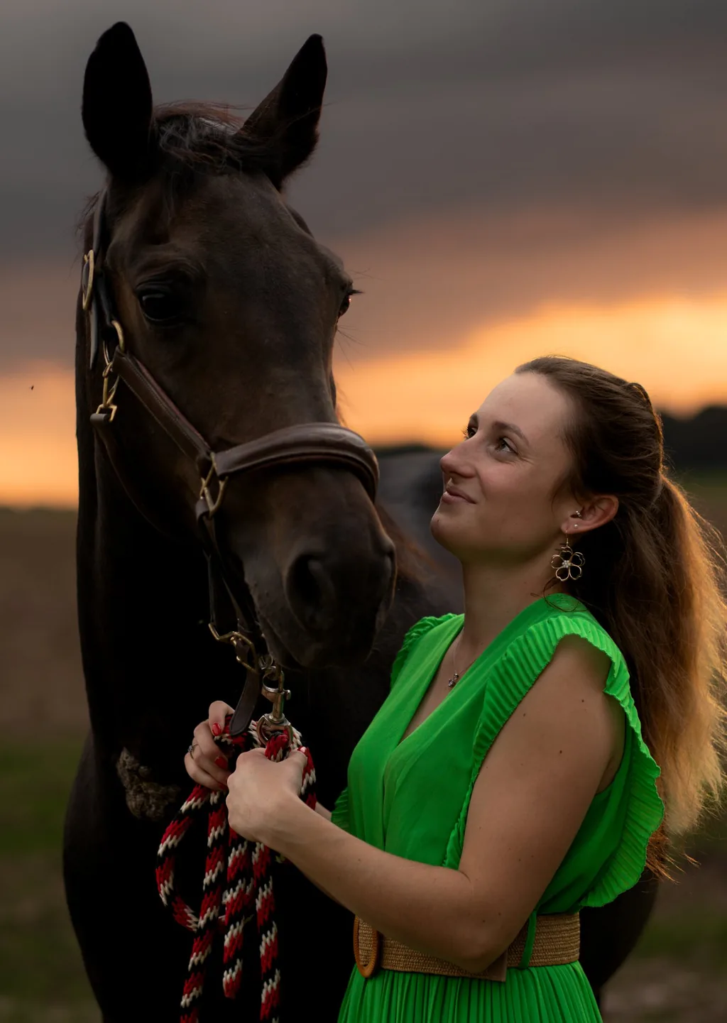 Portrait animalier en Normandie — Humanimal Photographie