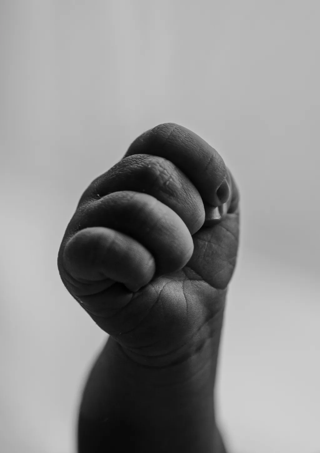 Séance grossesse ou naissance en Normandie — Humanimal Photographie